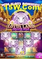 Casino Ao Vivo 8rr